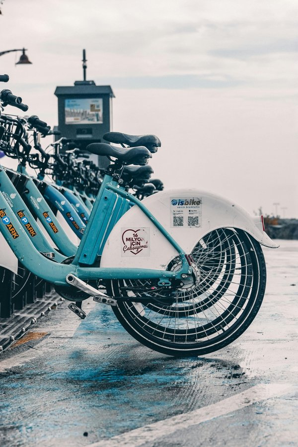 Découvrez les meilleures offres de location de vélos à noirmoutier dès 11 €